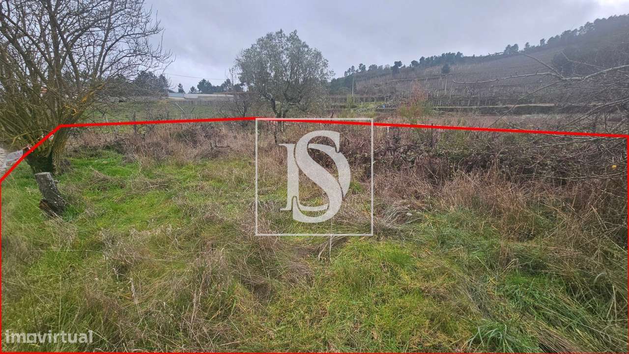 Terrenos Rústicos – Aricera e Goujoim, Armamar (Viseu)-3