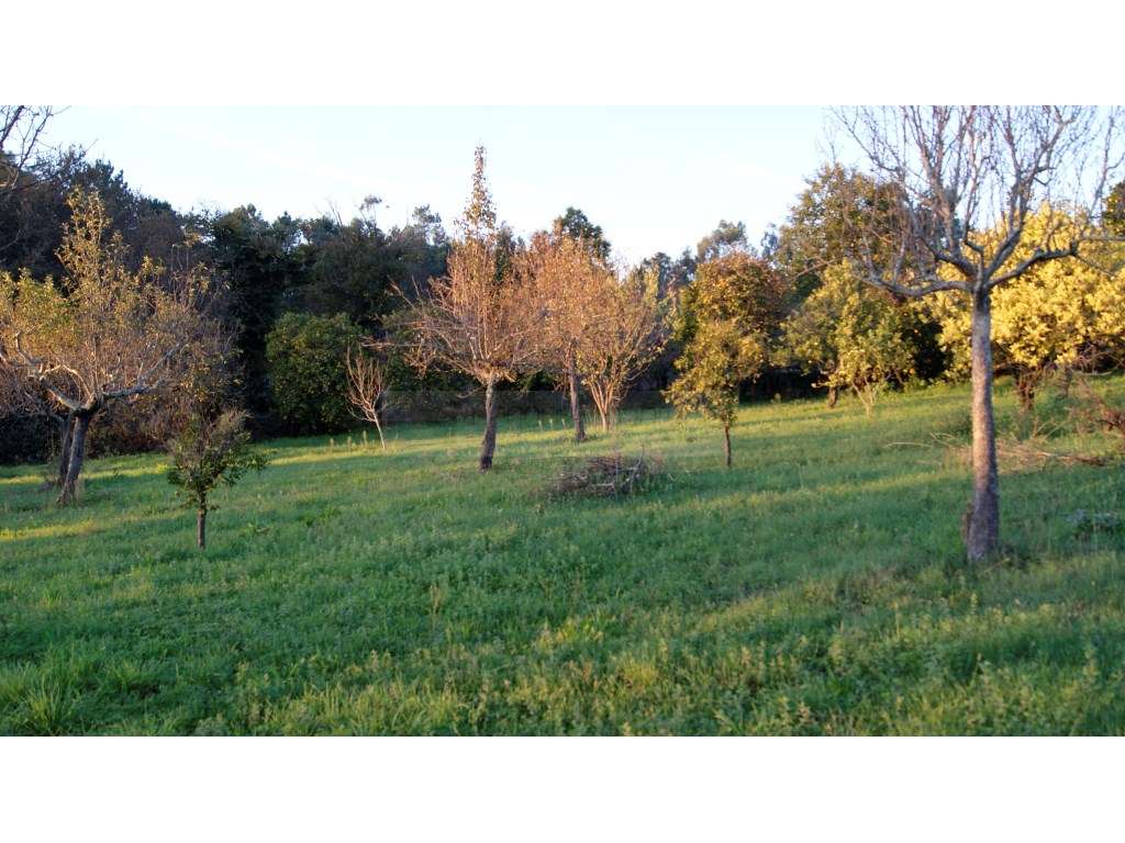 Quinta Tradicional com Elevado Potencial em Braga-42