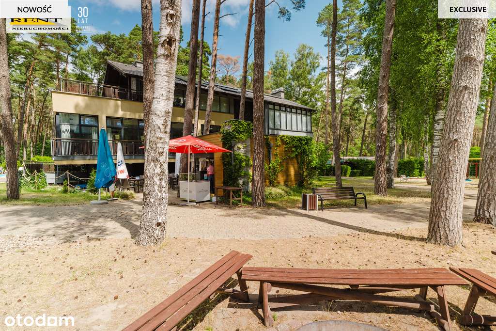 Apartament w środku nadmorskiego lasu-14