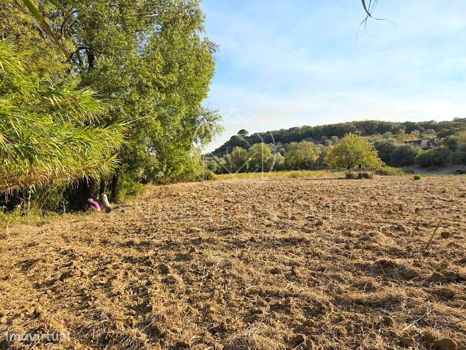 Terreno Misto  Venda em Torres Novas (São Pedro), Lapas e Ribeira Bran-10
