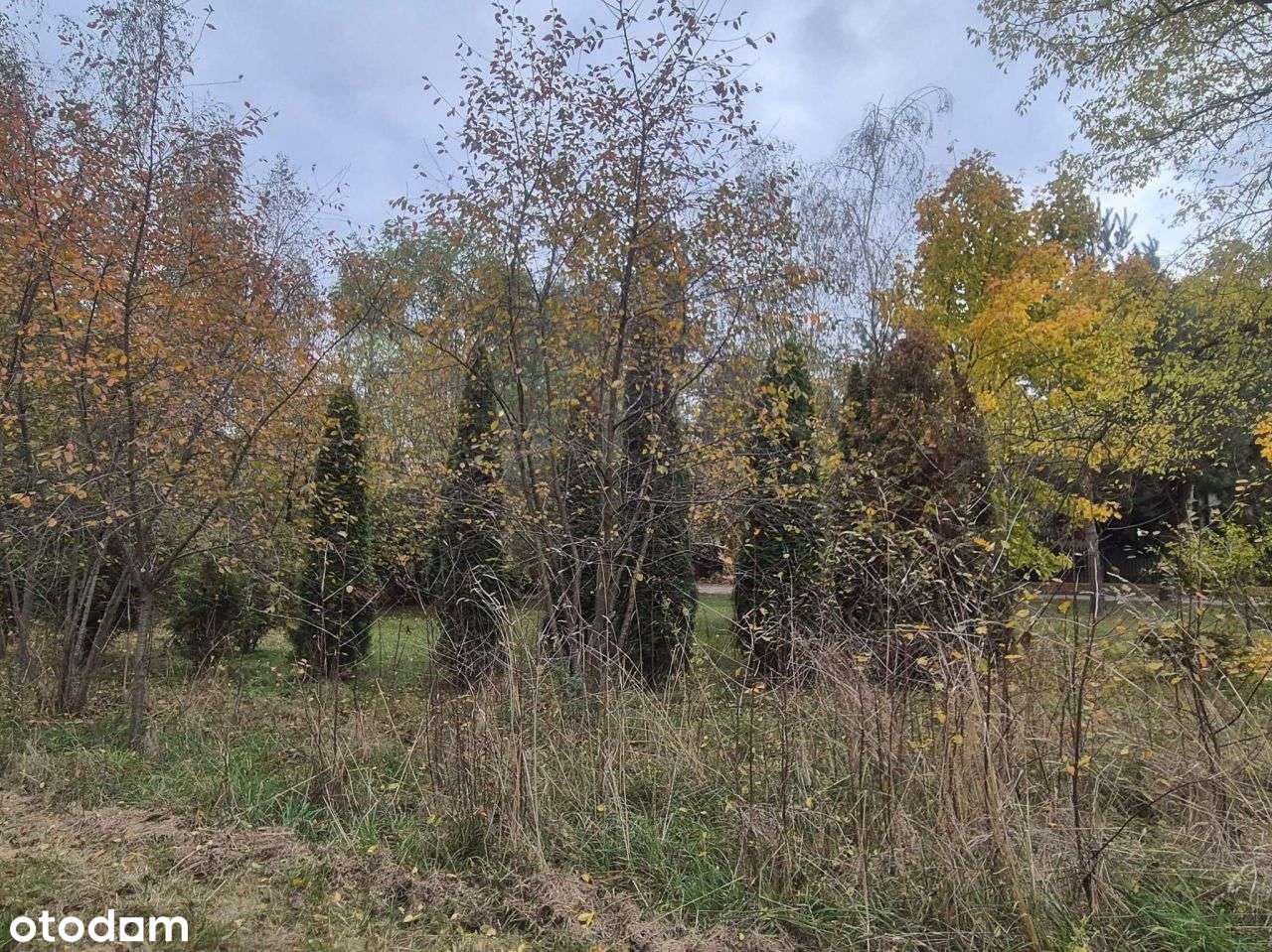 Działka budowlana w Wilanowie — ul. Zakamarek-6