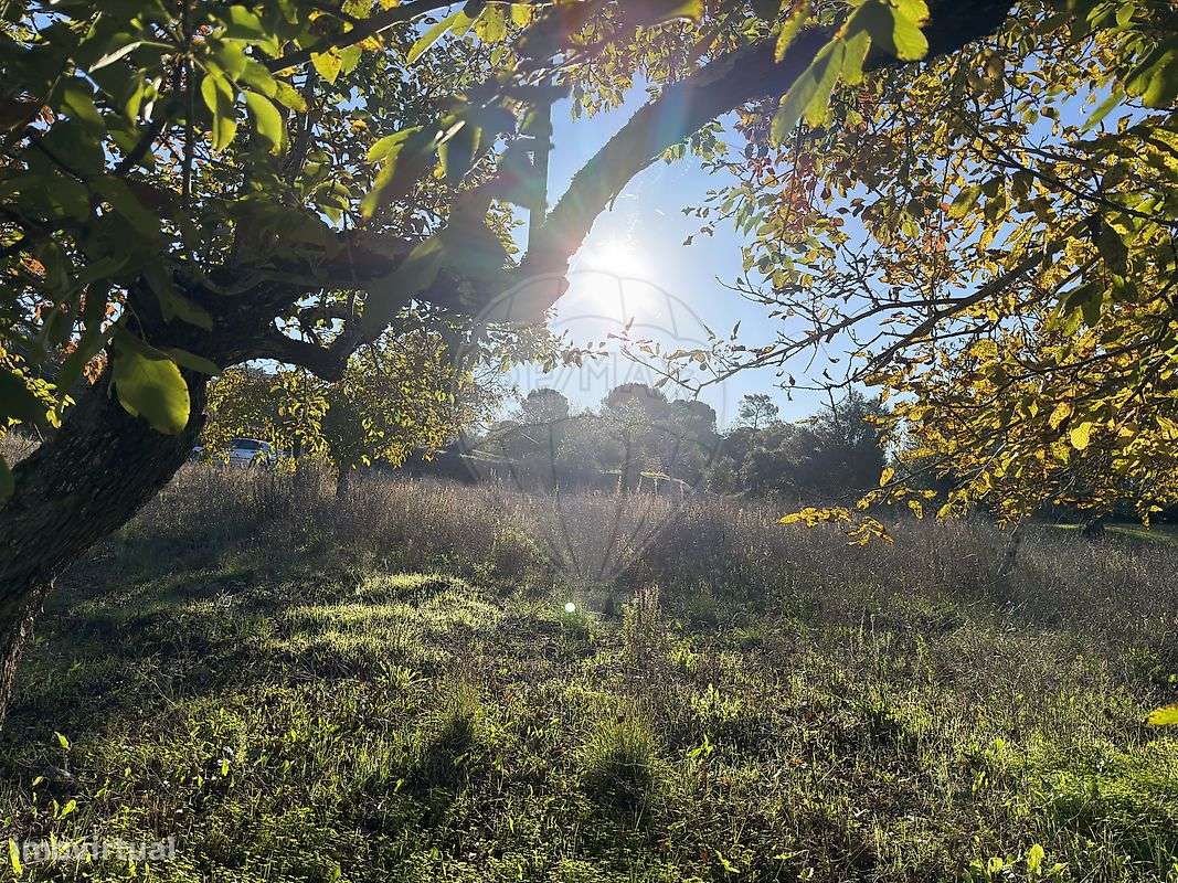 Terreno  para venda - Grande imagem: 4/11