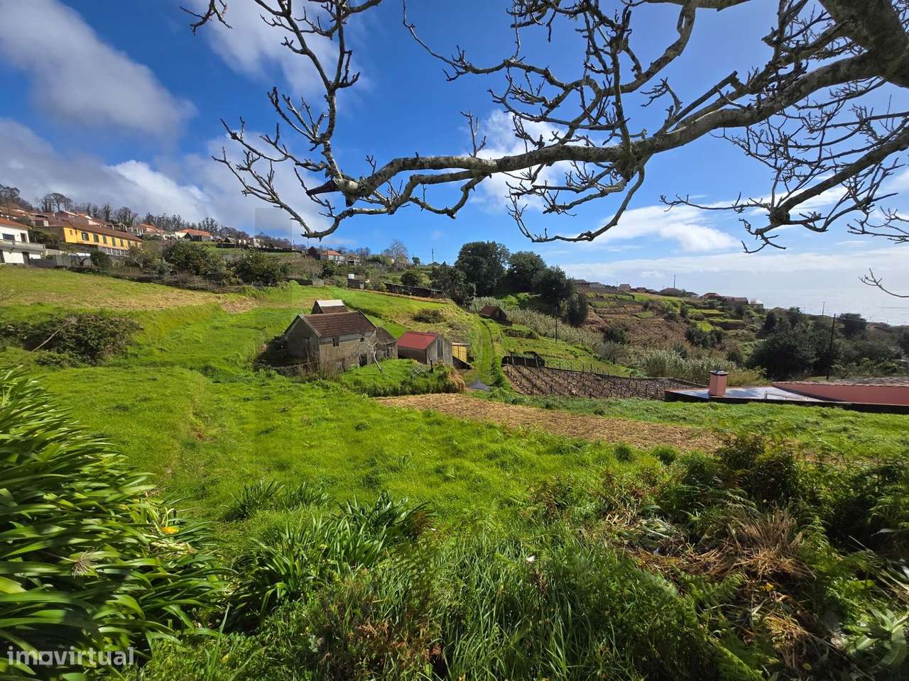 Fajã da Ovelha - O seu Refugio na Madeira-14