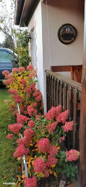 Parterowy dom nad jeziorem Woświn-19