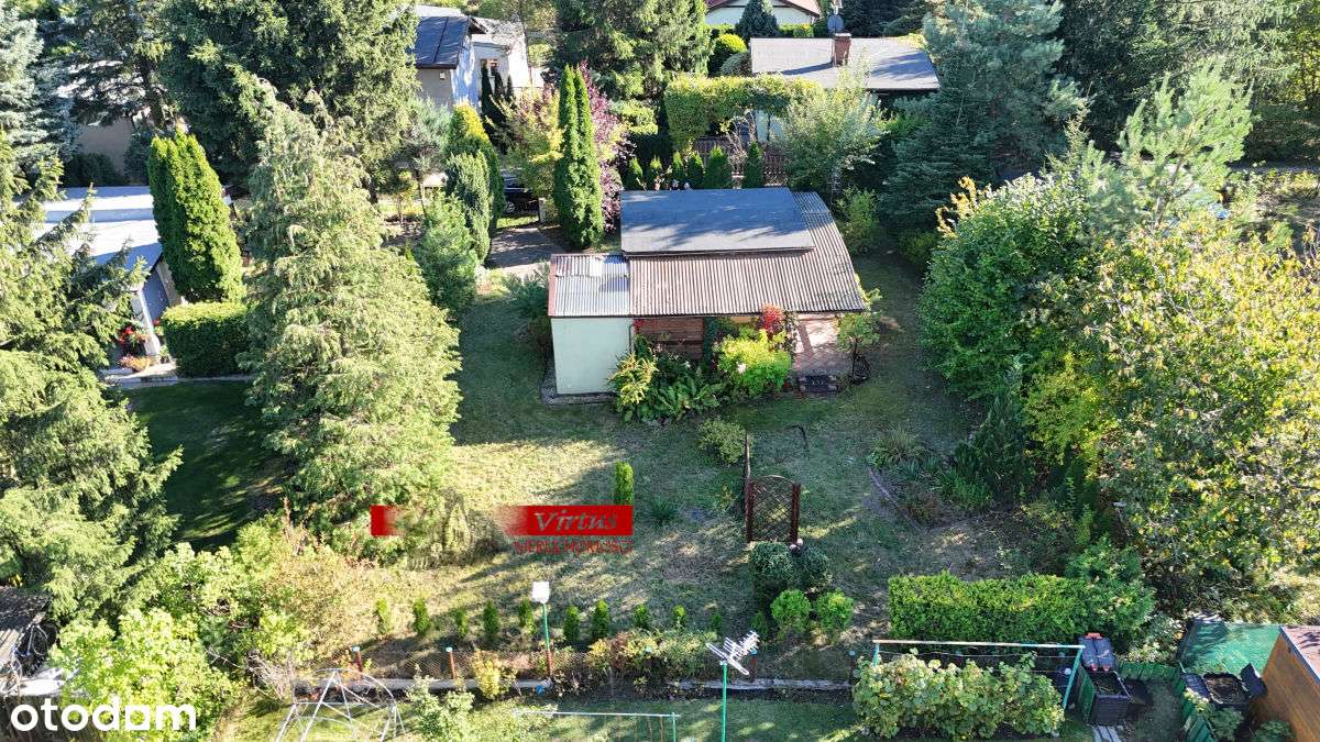 Rod Gorzkie Pole - Pełny obrazek: 4/14