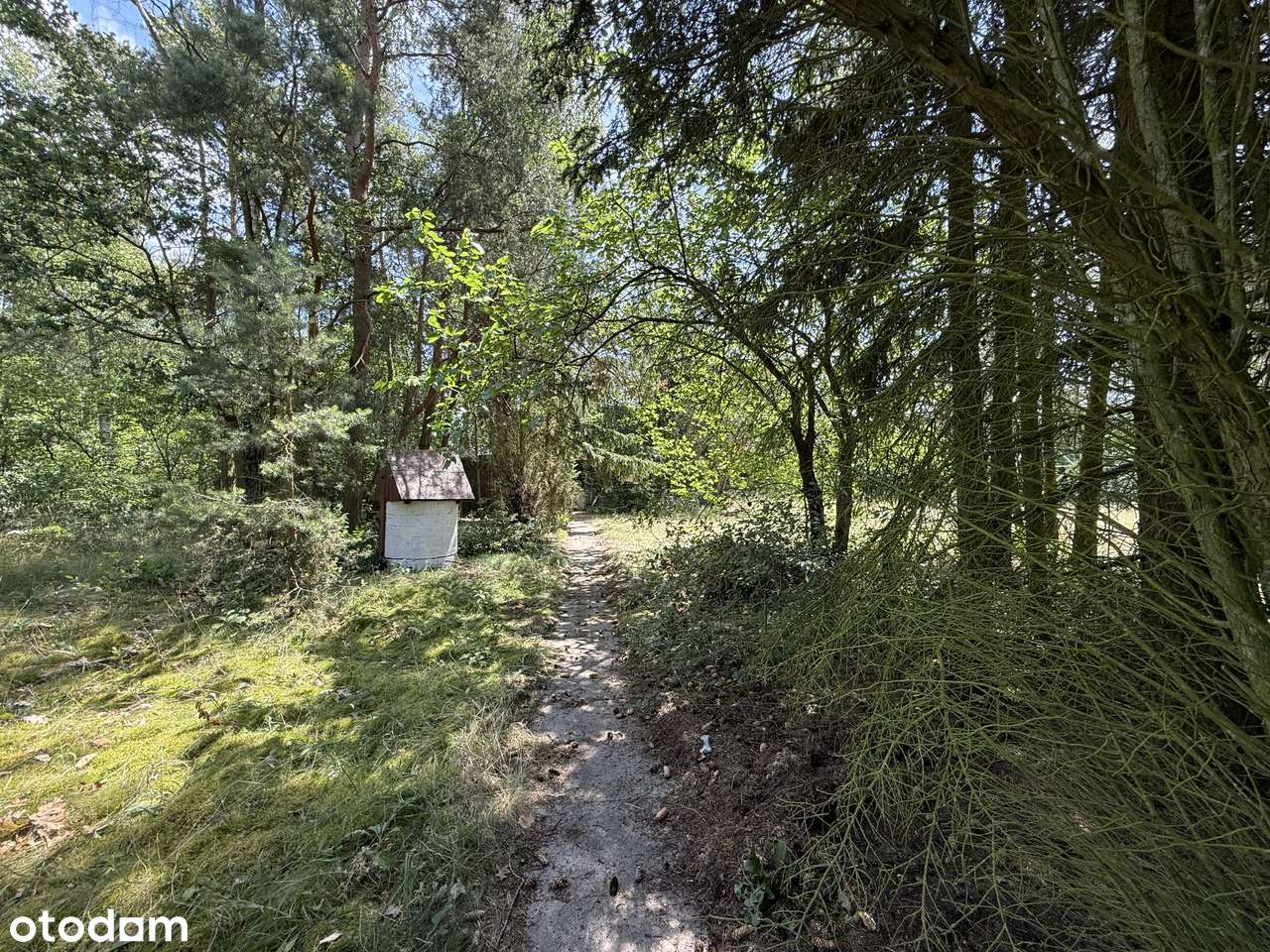 Uniejów – działka 2500 m² przy lesie, blisko term!-3