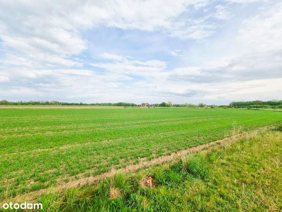 Łącko - działka budowlana blisko jeziora-2