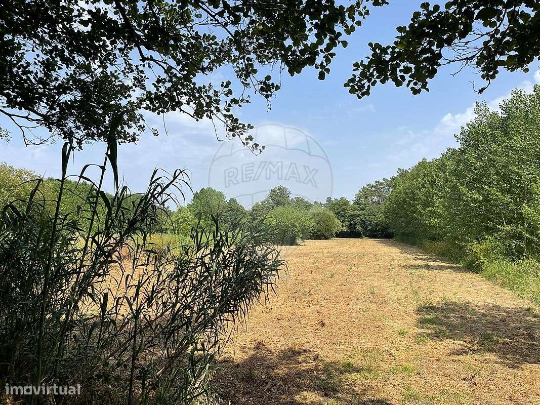 Terreno  para venda-5