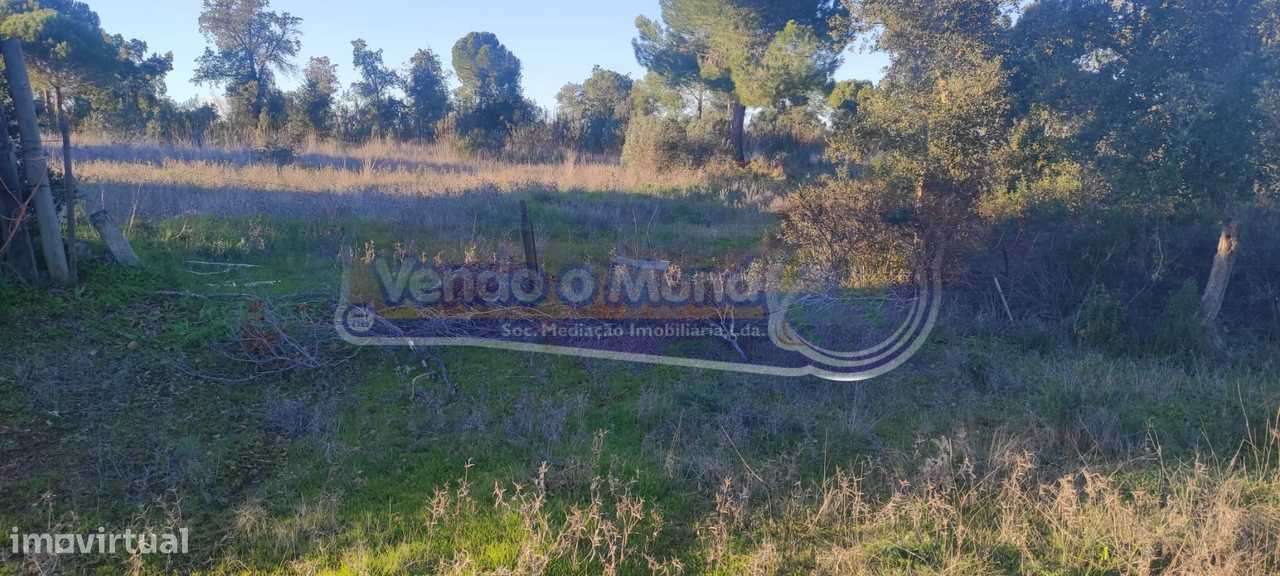 Terreno em Mora (MOR088) - Grande imagem: 5/5