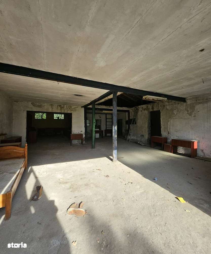 Atelier / Spațiu Comercial / Spațiu de Depozitare de închiriat – Oncea - Imagine principală: 3/11