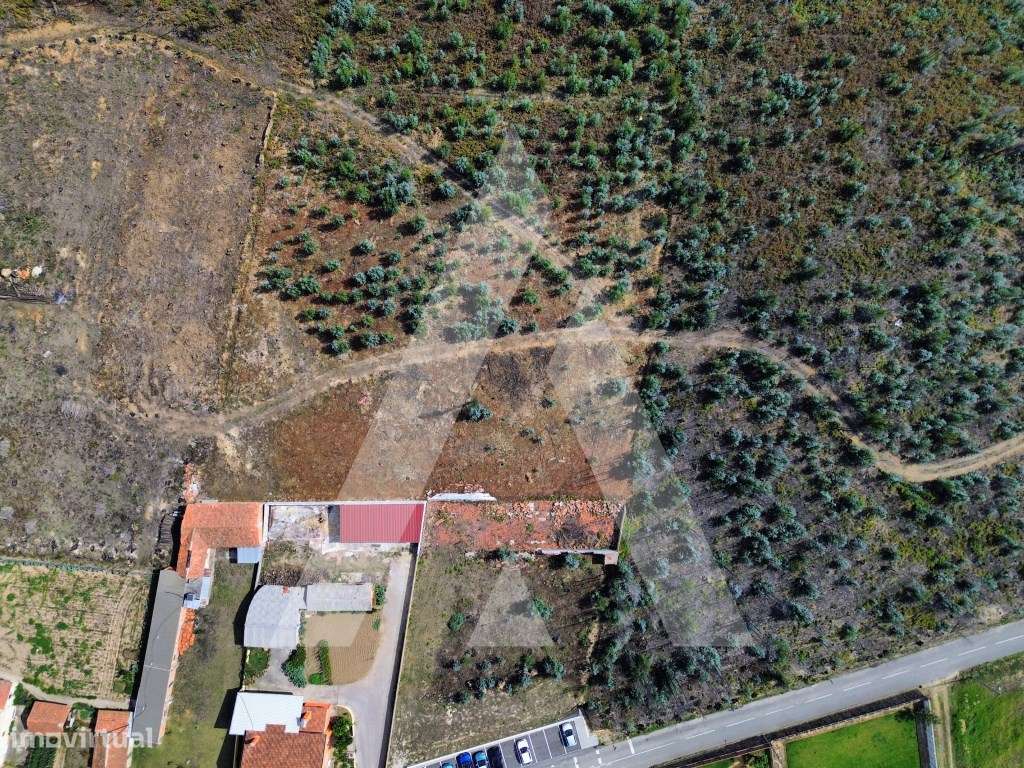 Terreno na Branca - Albergaria-a-Velha - Grande imagem: 4/12