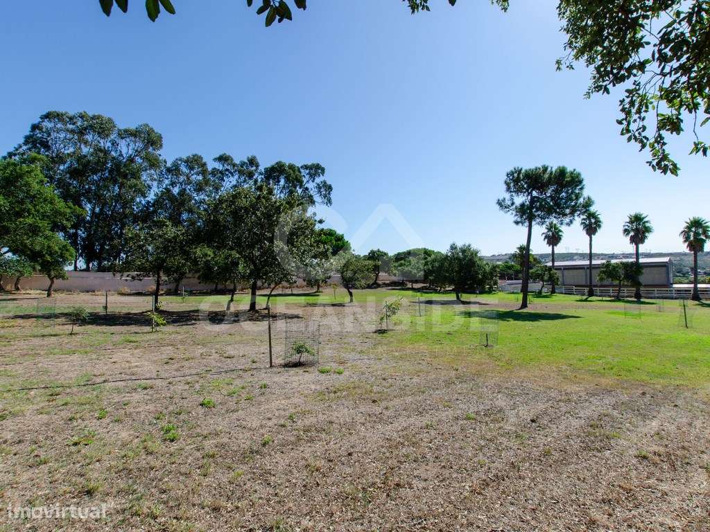 Quinta em Serradas, com terreno de 17.000m²-37