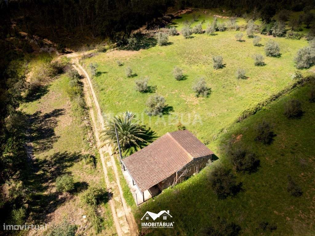 Barracão e terreno agrícola - Excelente potencial de ampliação - Grande imagem: 2/15