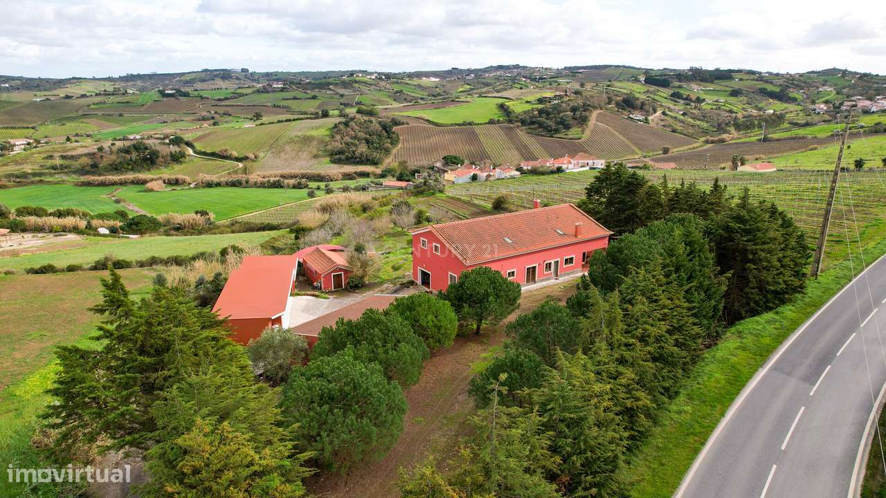 ESPECTACULAR QUINTA A CERCA DE 40 MINUTOS DE LISBOA - Grande imagem: 5/60