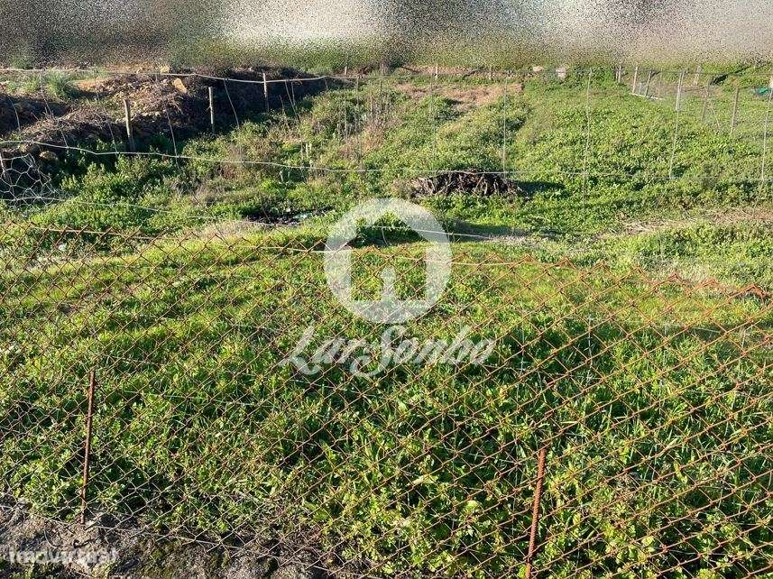 Terreno de 698m² para construção de moradia individual, em Alvarelh... - Grande imagem: 3/12