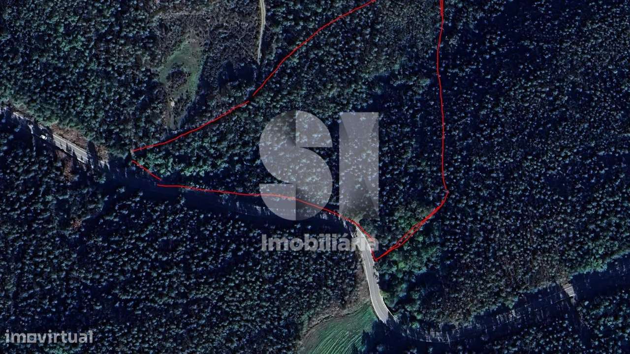 Terreno Rústico – 7.661 m² com Nascente de Água - Grande imagem: 3/3