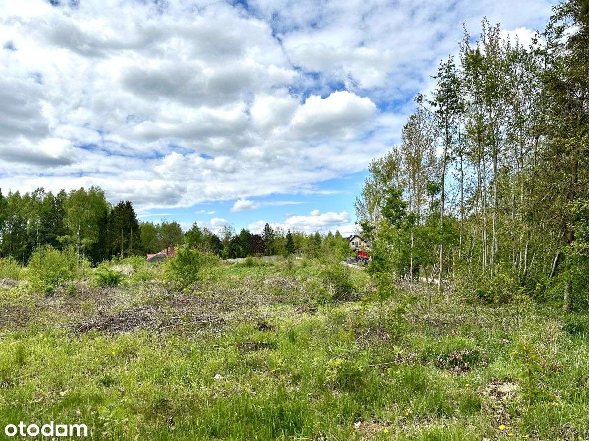 Przyjaźń, Kompleks 6 działek z wz,spokojna okolica - Pełny obrazek: 4/20
