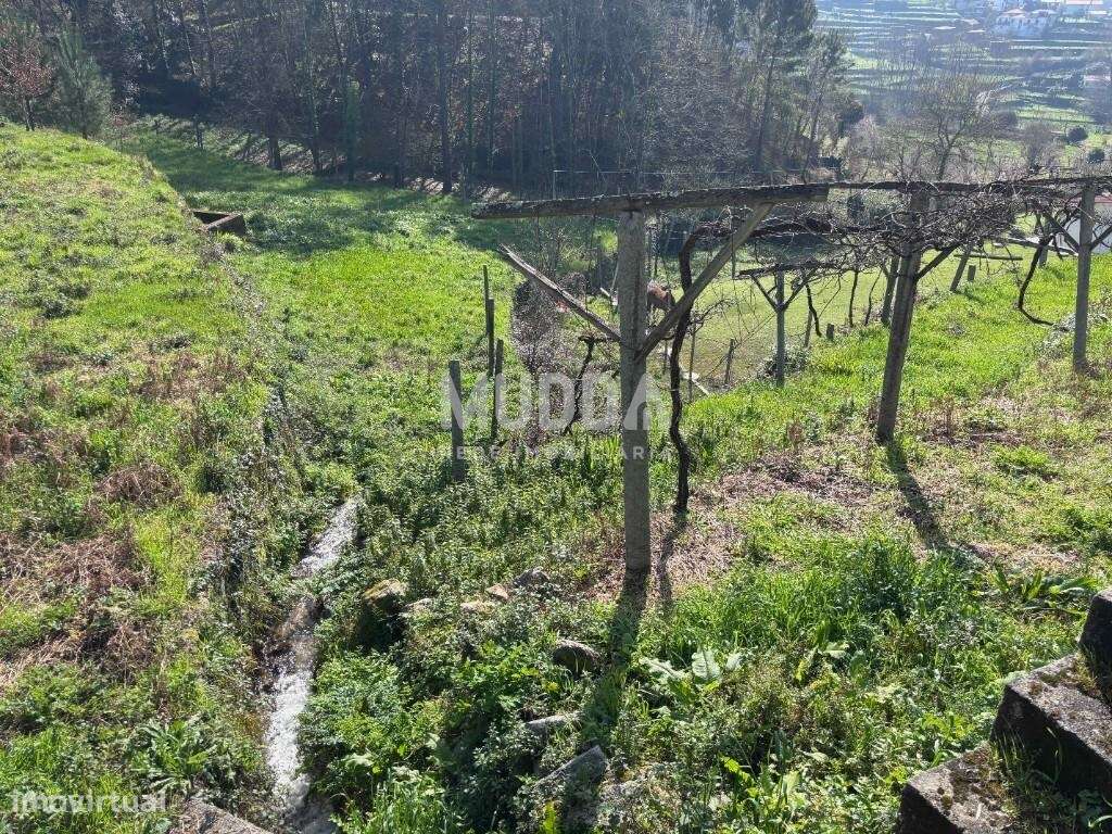 Exclusivo - Terreno urbanizável-19