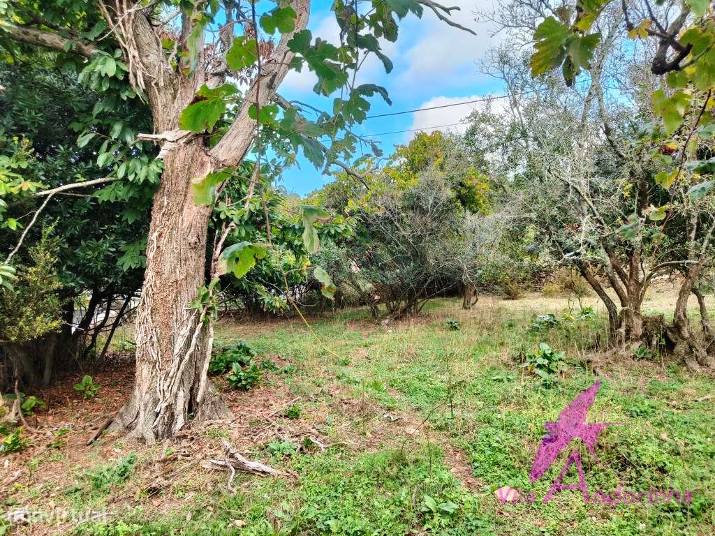 Terreno com Anexo em Pedra em Samonde - Santa Marta de Portuzelo-3