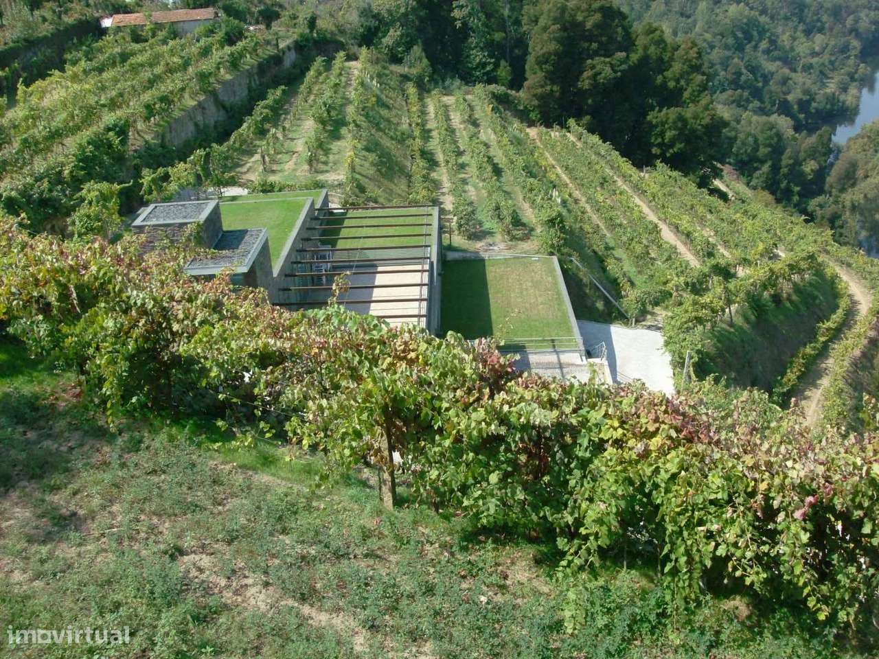 Quinta T7 Venda em Fornos,Castelo de Paiva-6