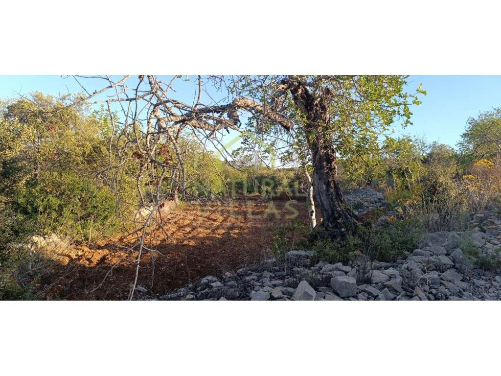 Terreno Rústico com Parcial Vista Mar em Azinheiro - Grande imagem: 2/7