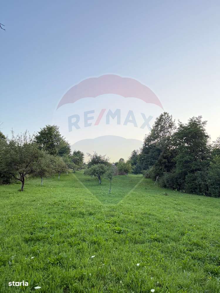 Teren în cea mai turistica localitate din Romania - Breb / Maramureș - Imagine principală: 3/4