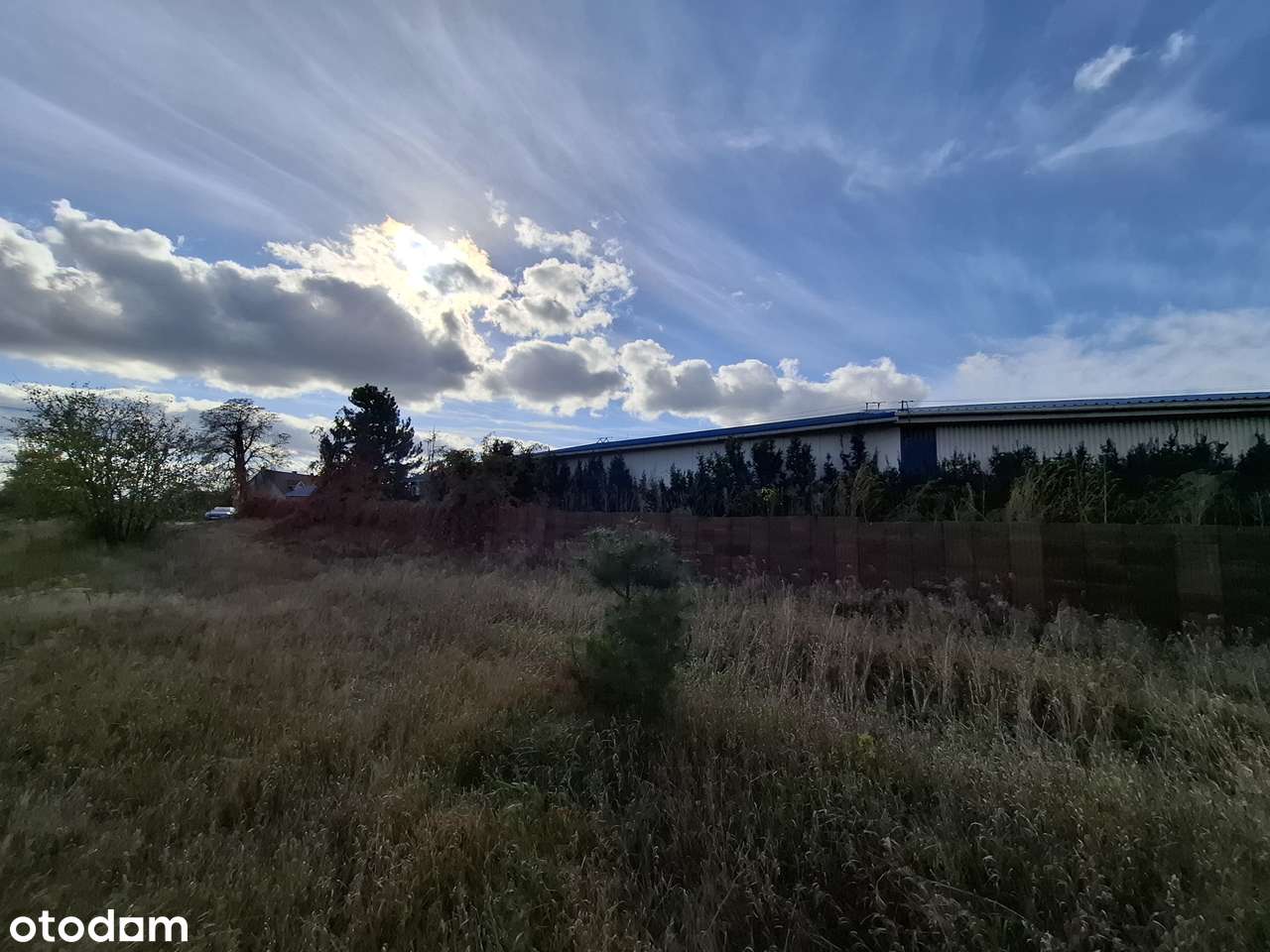 hale produkcyjne i magazyny w Dzierżowie obok Gorzowa Wielkopolskiego-16