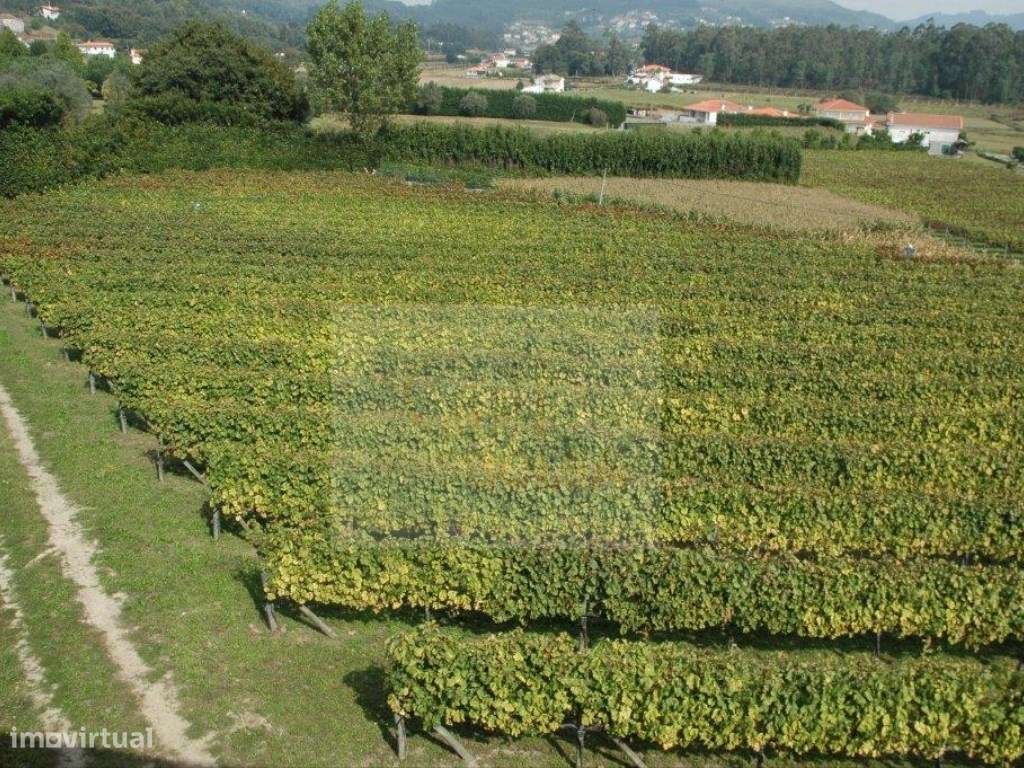 Propriedade 'Quinta da Seara'-16