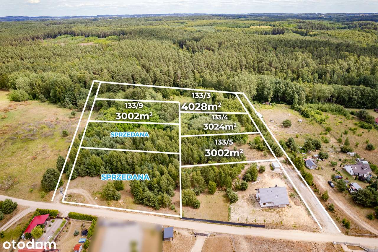 Działki budowlane 1.3 ha przy lesie Barcikowo Dobre Miasto-6