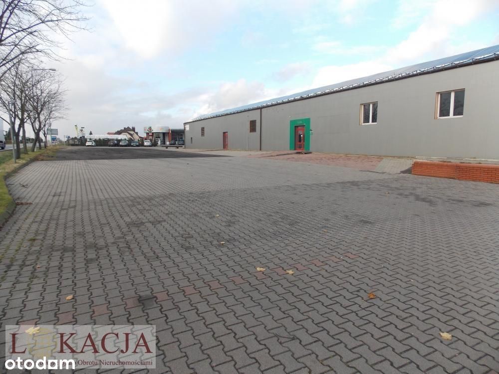 Hala/Magazyn, 200 m², Kalisz