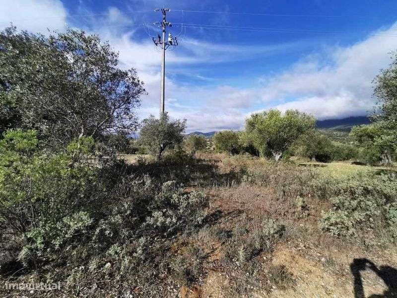 Terreno em Pedrogão - Grande imagem: 4/7