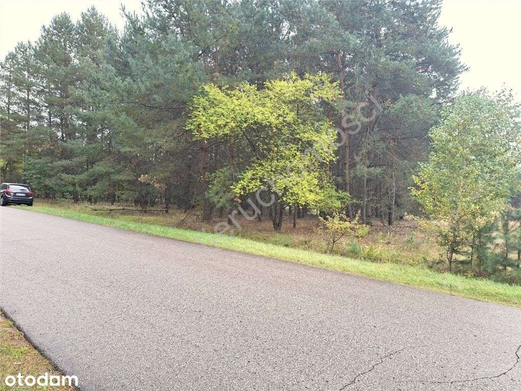 Działka w niskiej cenie "na wypady do lasu" - Pełny obrazek: 5/10