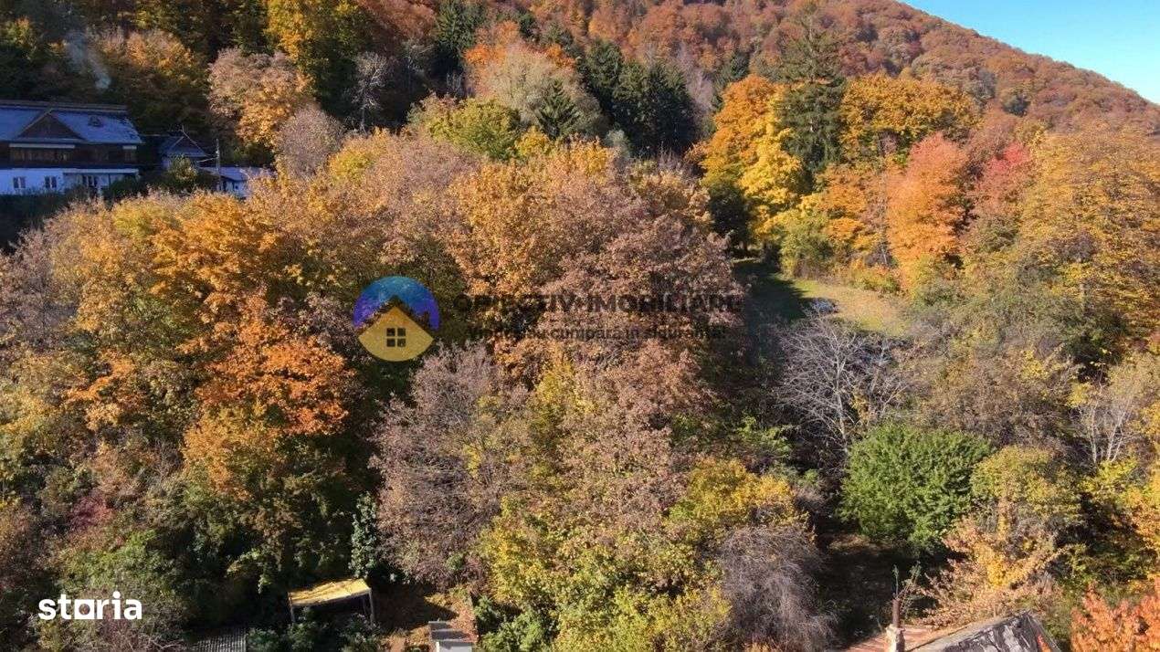 Teren intravilan de vanzare – Piatra Neamt - Imagine principală: 5/19