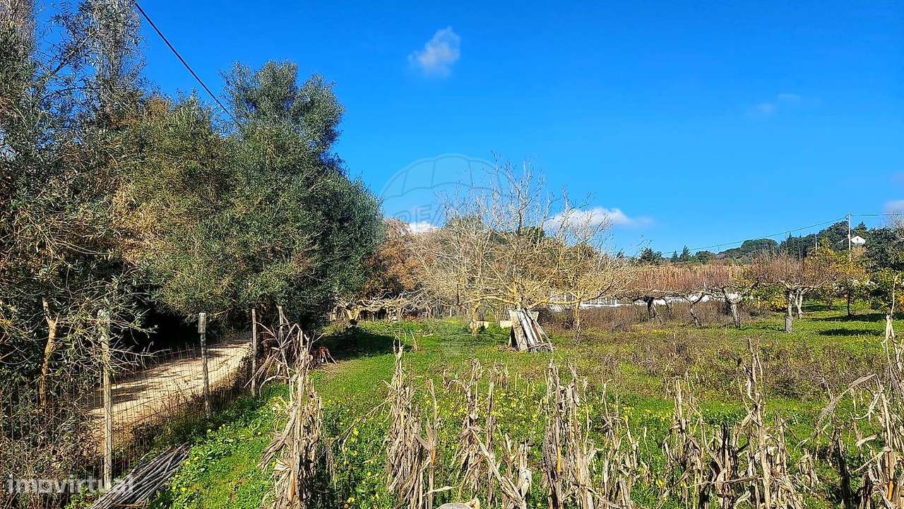 Terreno  para venda-30