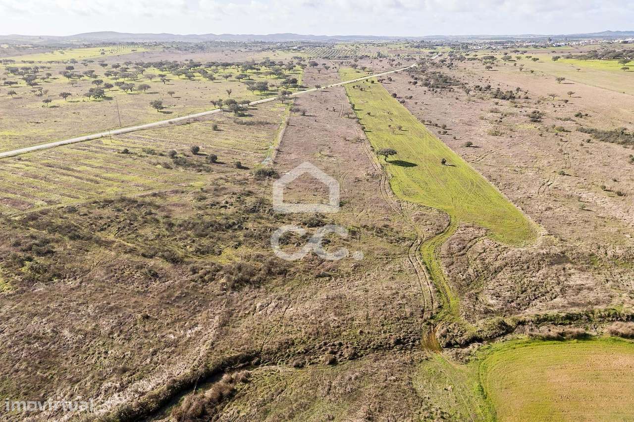 Terreno de 5,4 ha c/ Viabilidade de Construção | Capelins, Alandroal-25