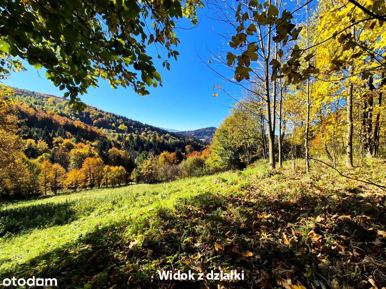 Widokowa działka z własnym lasem! - pod dom, domek weekendowy, domki-15