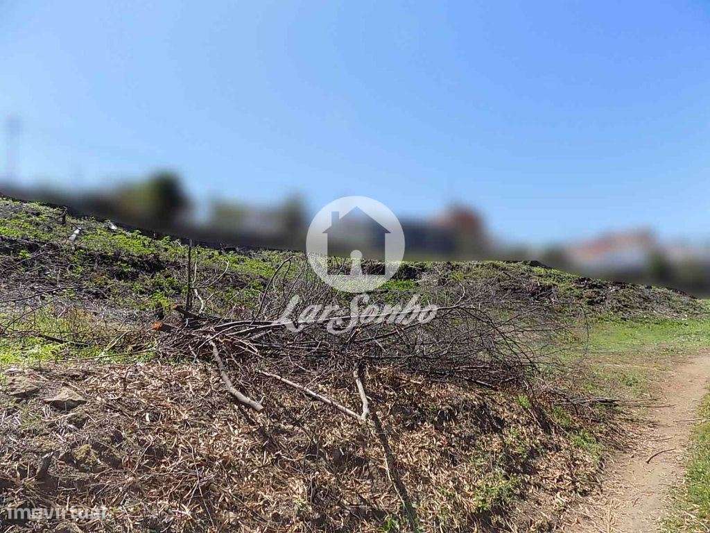 Terreno rústico c/ 1.200m2  -  Calendário - Grande imagem: 4/4