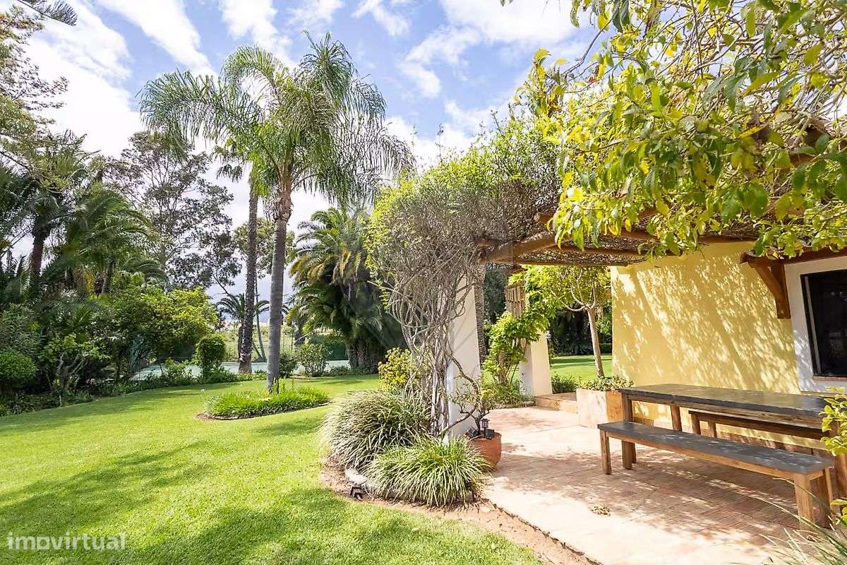 Quinta T7 para venda - Grande imagem: 5/50