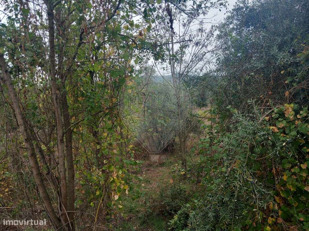 Terreno  para venda - Grande imagem: 2/6