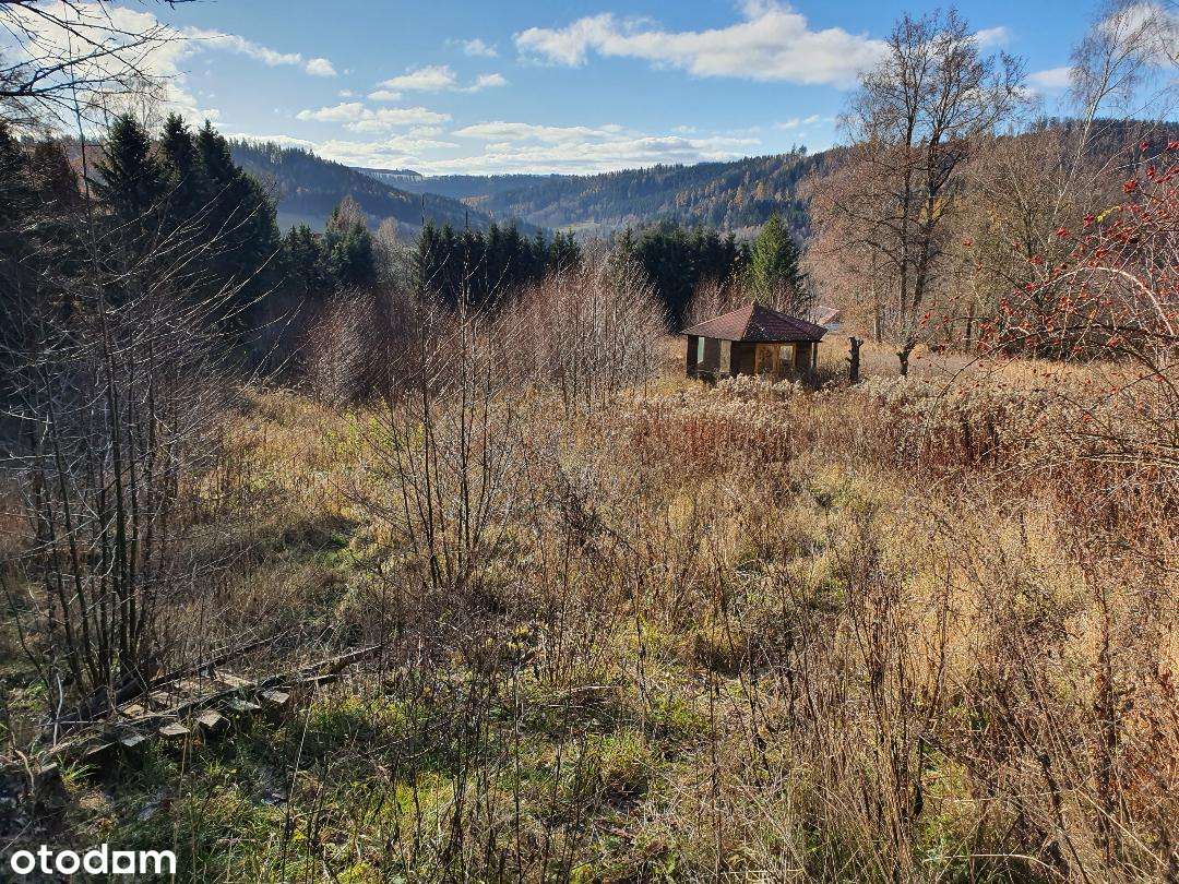 dzialka budowlana Góry Sowie, sprzedaż od prywatnej osoby - Pełny obrazek: 5/5