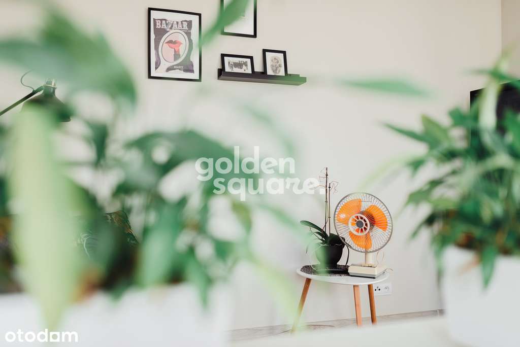 Dwupak inwestycyjny z garażem w cenie!-2