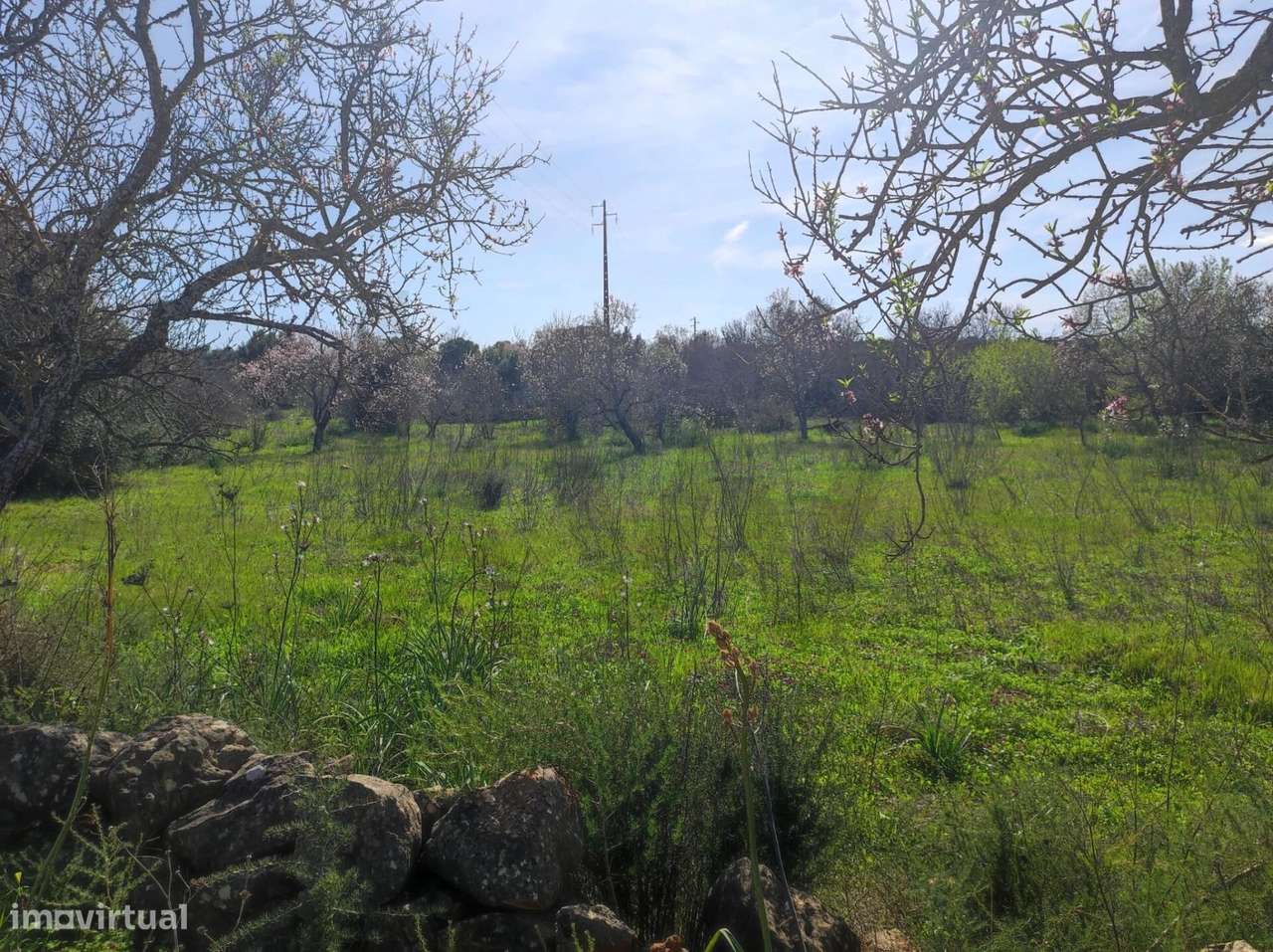 Terreno rústico 10.370 m2, localizado no Benaciate - Silves. - Grande imagem: 4/15