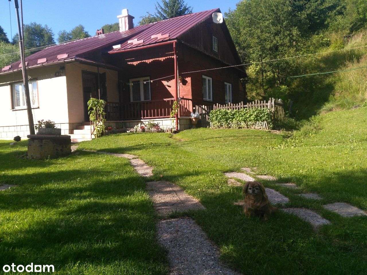 Magiczne siedlisko z lasem, rzeczką i historią - Pełny obrazek: 5/20