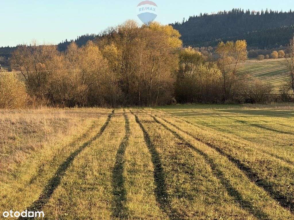 Nieruchomość gruntowa Frydman - Pełny obrazek: 4/6