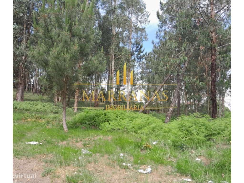 Terreno Urbano-3