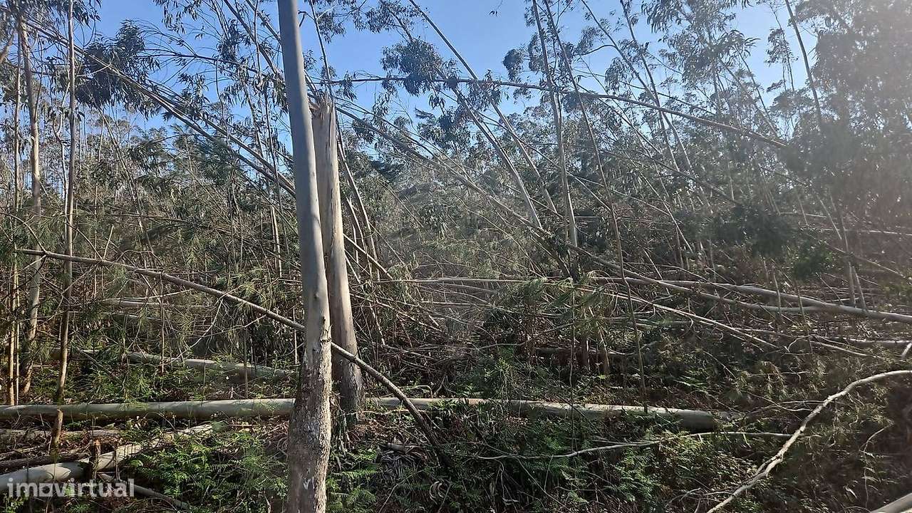 Terreno  para venda - Grande imagem: 3/6