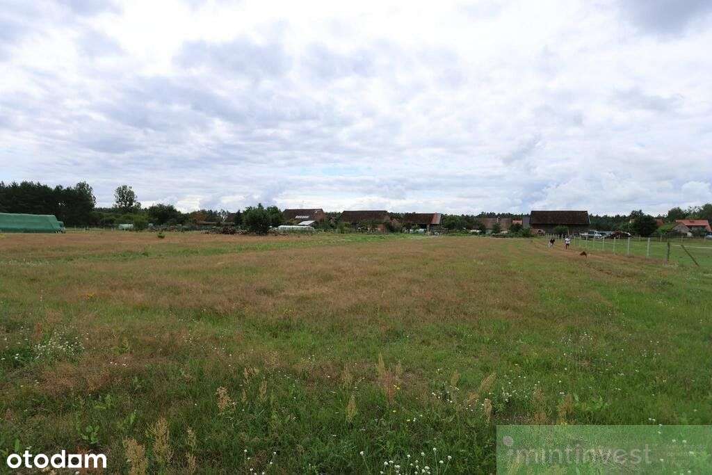 Urokliwie położona działka w Wierzchosławiu - Pełny obrazek: 5/7