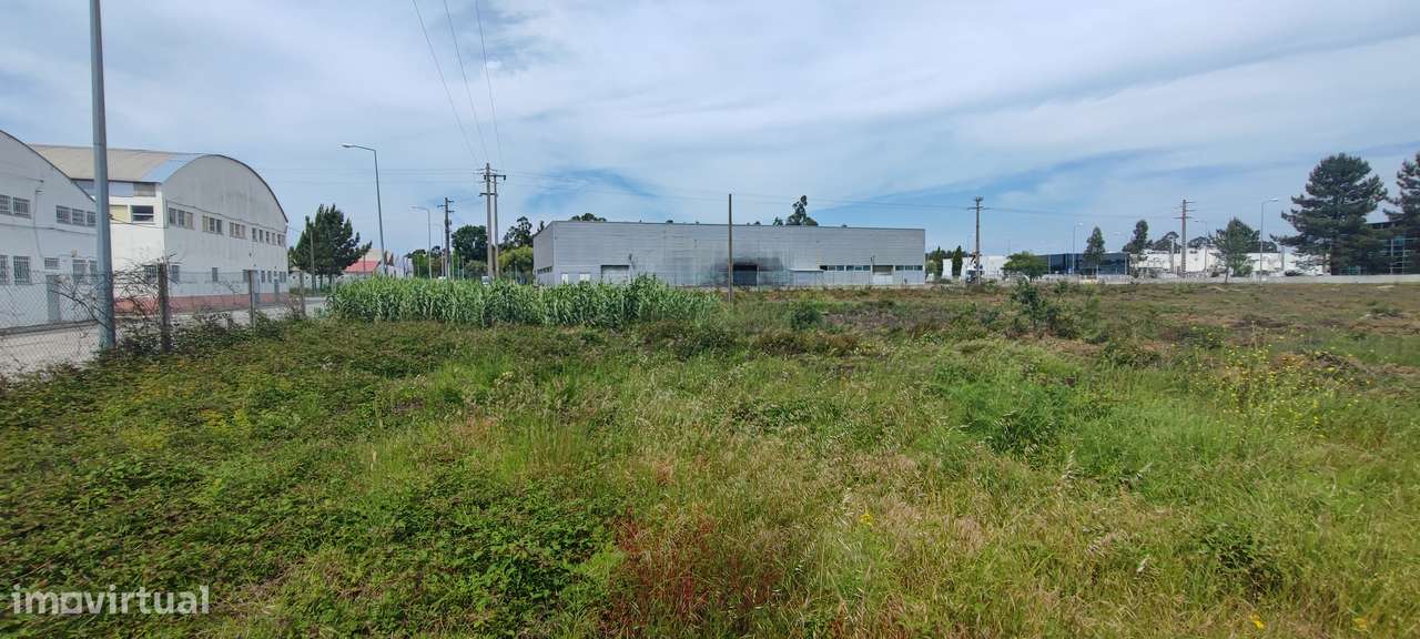 Zona Industrial CANTANHEDE - LOTE de Excelência-42