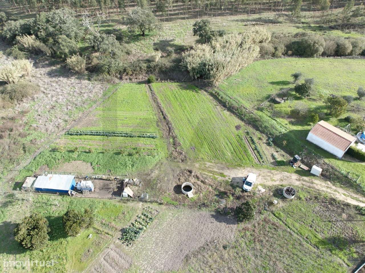 Terreno Rústico com 3.000 m2 em Vale de Água – Santiago do Cacém - Grande imagem: 5/9