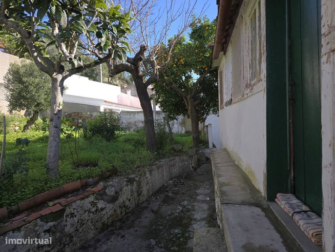 Vila Nova da Barquinha - Moradia T4 Duplex com quintal junto ao rio-6